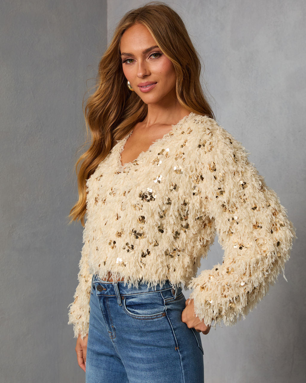 Francia Shaggy Metallic Sequin Sweater